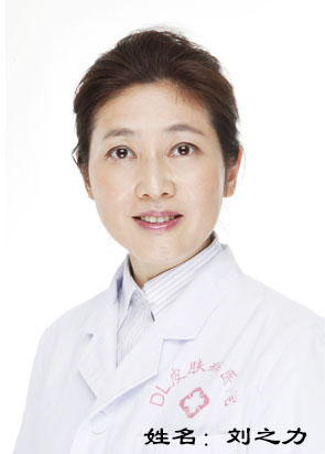 刘之力